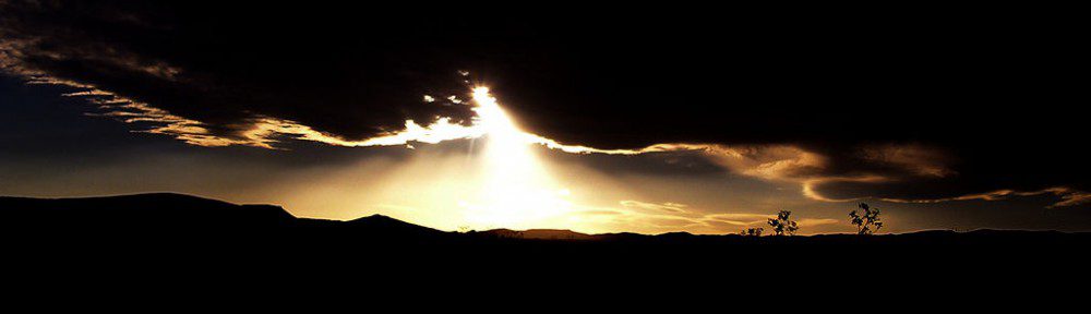 Shade of the Morning Sun